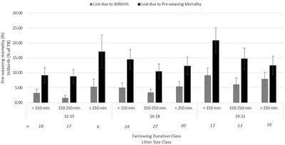 Disentangling Litter Size and Farrowing Duration Effects on Piglet Stillbirth, Acid–Base Blood Parameters and Pre-Weaning Mortality